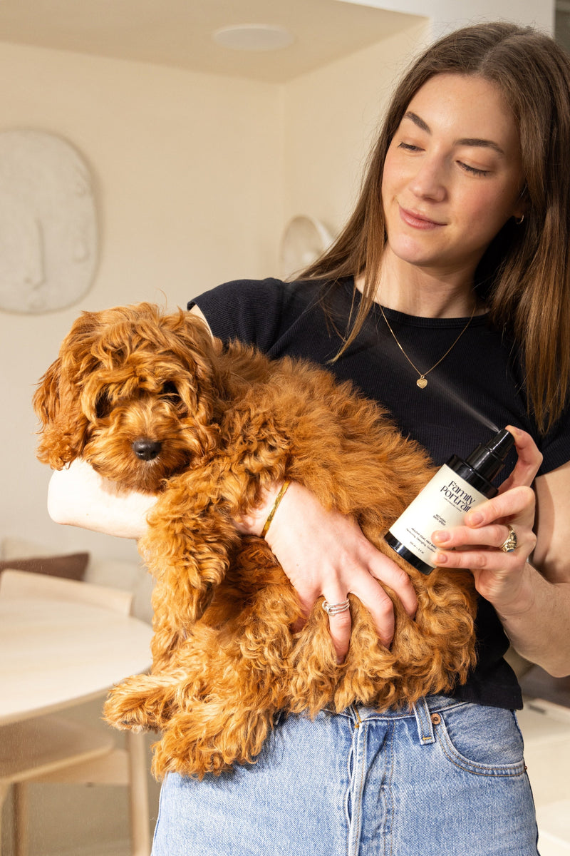Between-Bath Sprays and Leave-In Conditioners: What Vets and Groomers Want You to Know